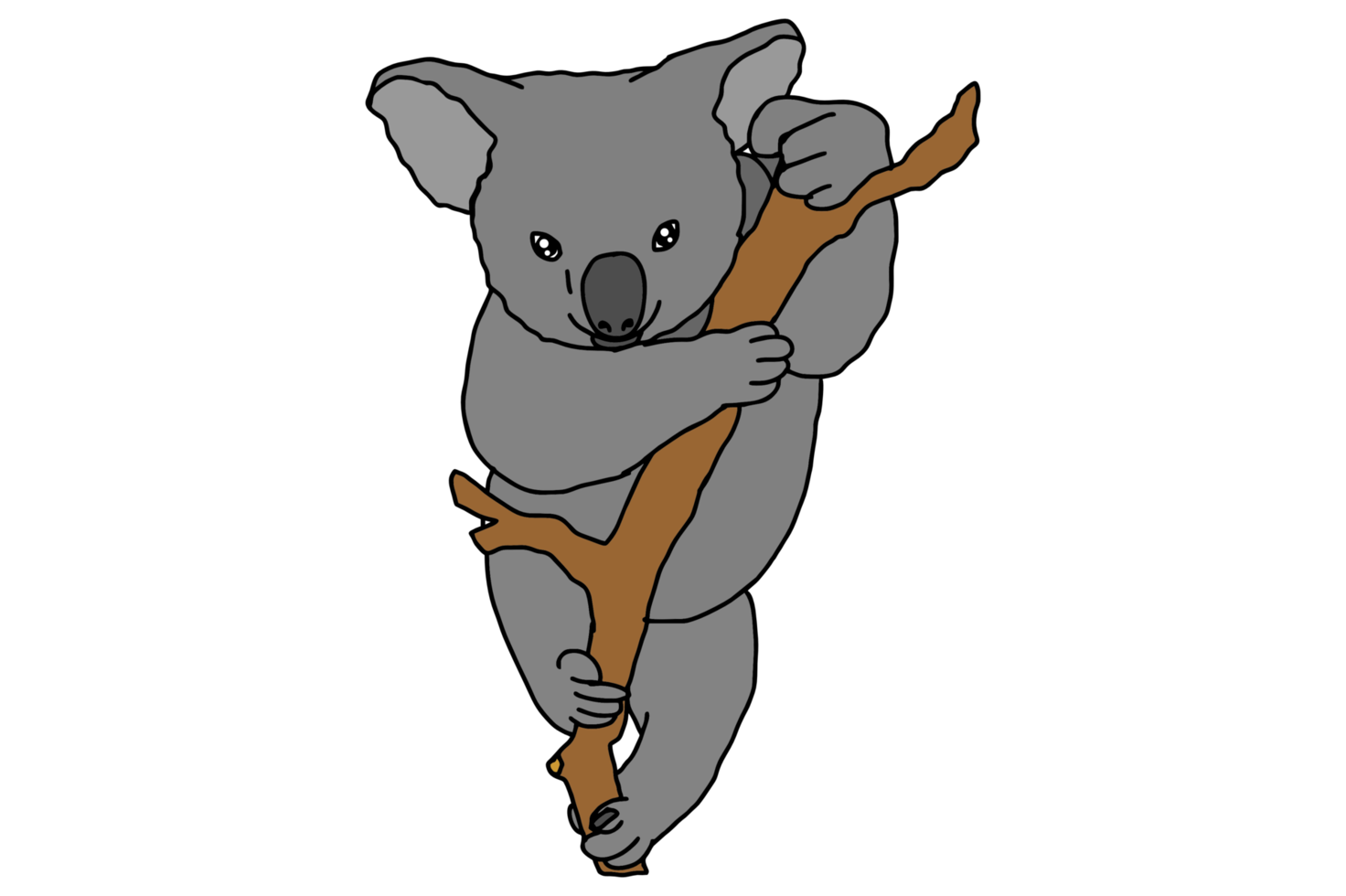 Cute koala on the tree png