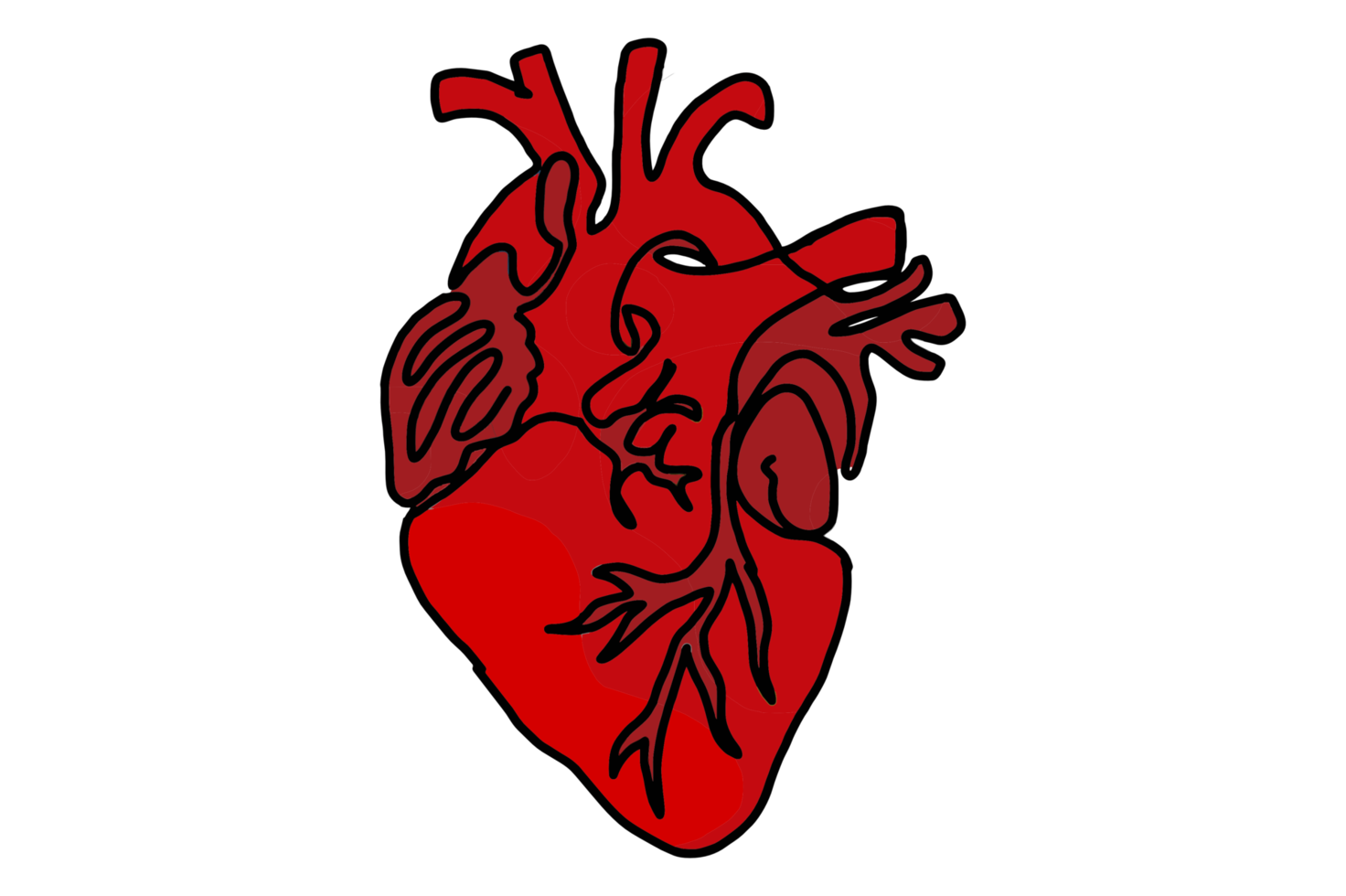 rojo humano corazón png