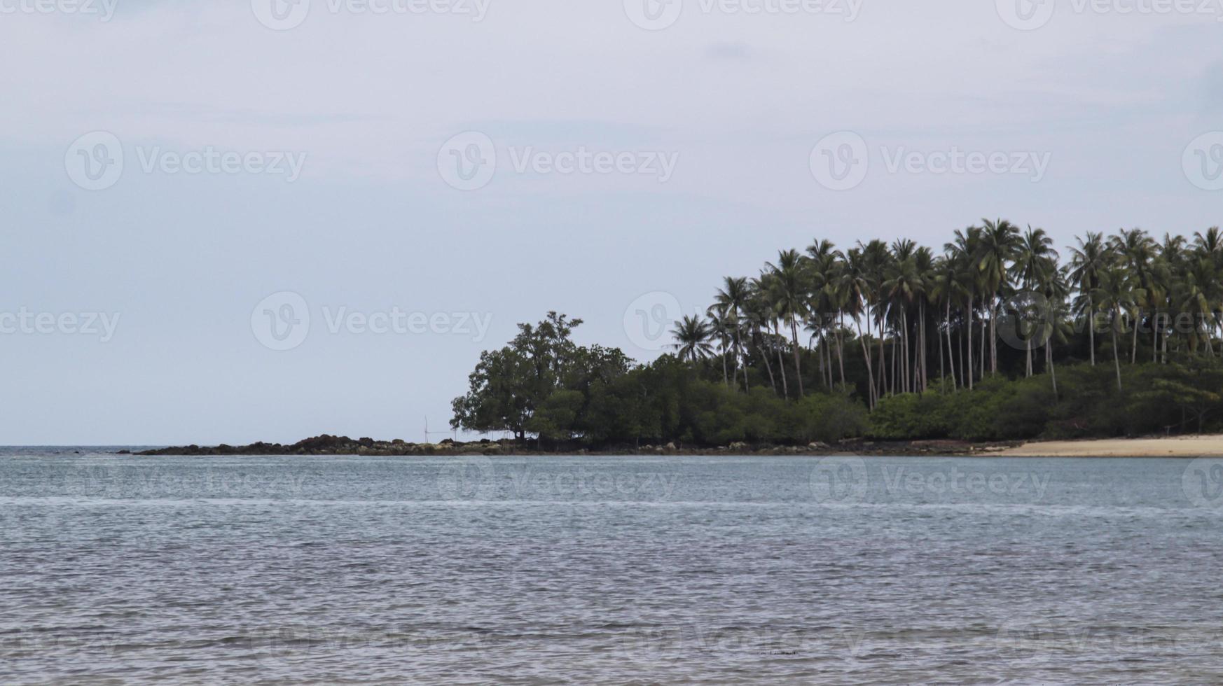 An island on the across the ocean that is grown by green tropical trees is very natural. Suitable for background. photo