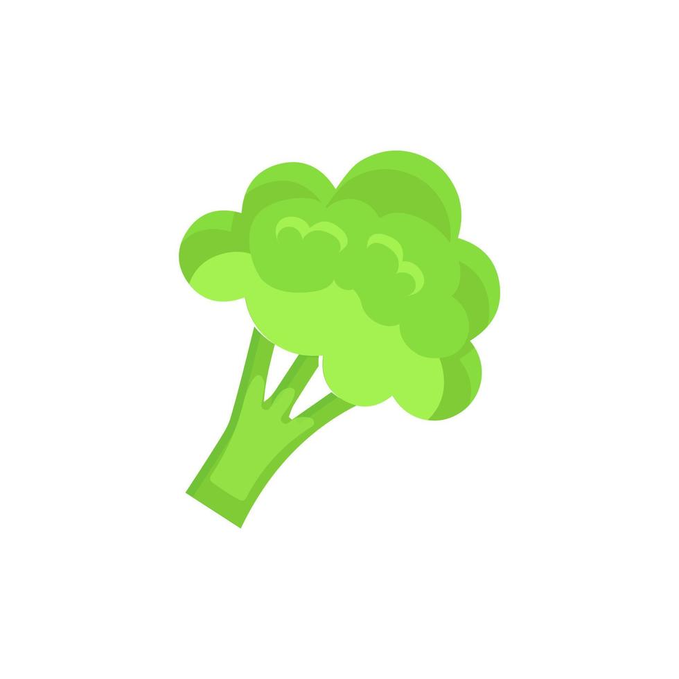 Broccoli Icon vector. Broccoli vegetable fresh farm healthy food. Broccoli colorful realistic icon vegetables symbol on white background. vector