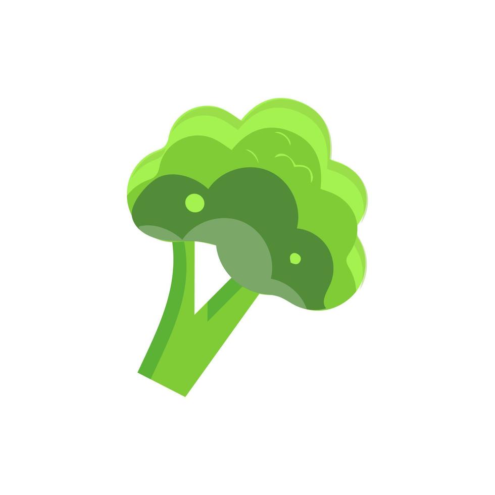Broccoli Icon vector. Broccoli vegetable fresh farm healthy food. Broccoli colorful realistic icon vegetables symbol on white background. vector