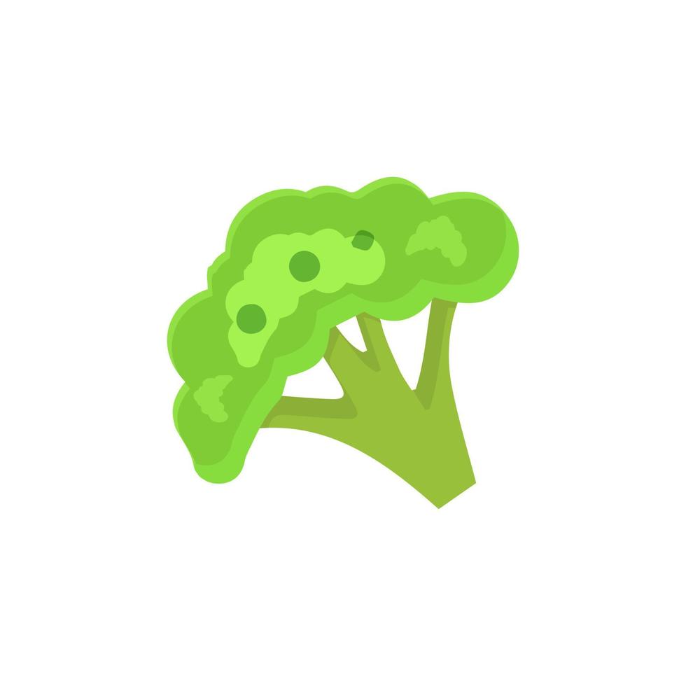 Broccoli Icon vector. Broccoli vegetable fresh farm healthy food. Broccoli colorful realistic icon vegetables symbol on white background. vector