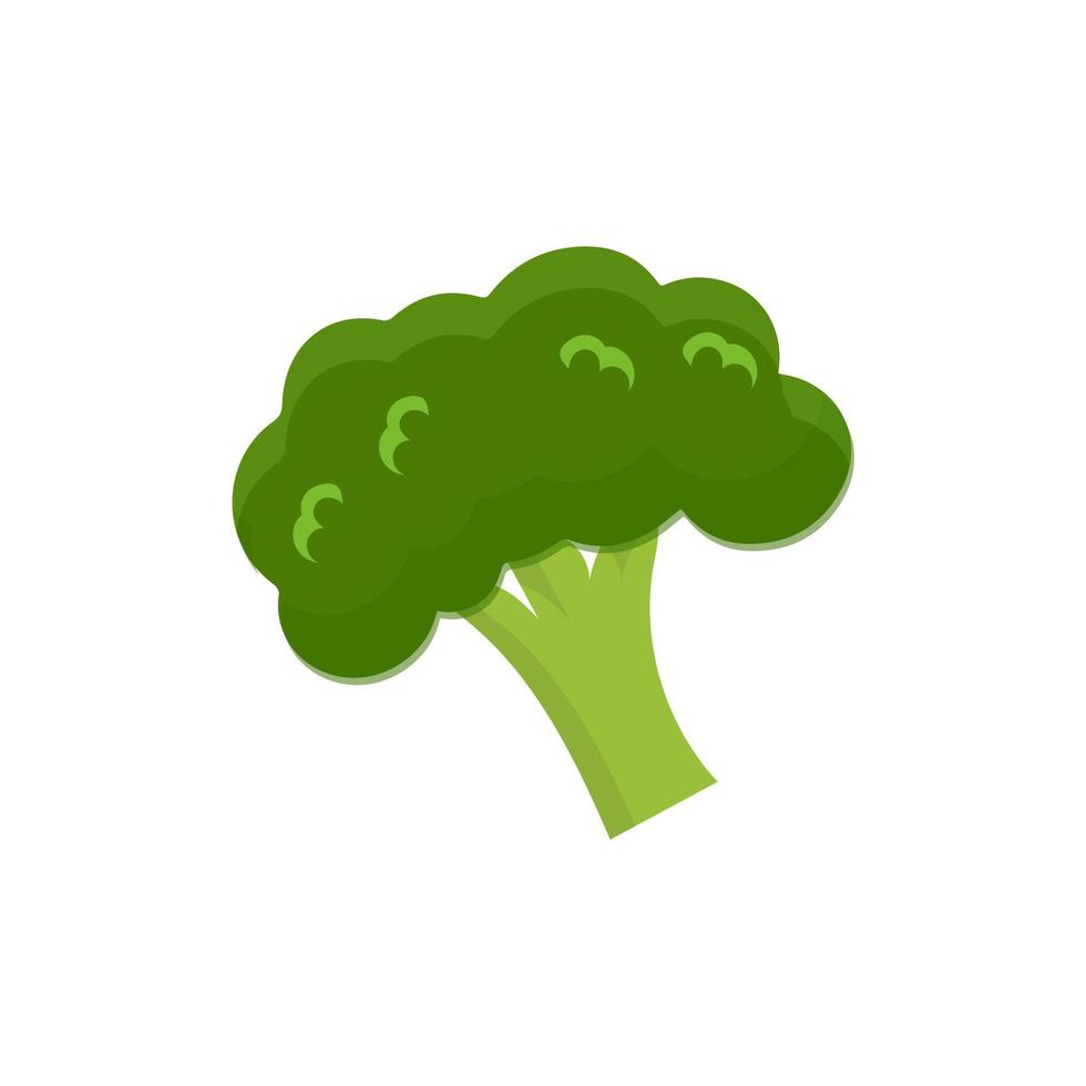 Broccoli Icon vector. Broccoli vegetable fresh farm healthy food. Broccoli colorful realistic icon vegetables symbol on white background. vector