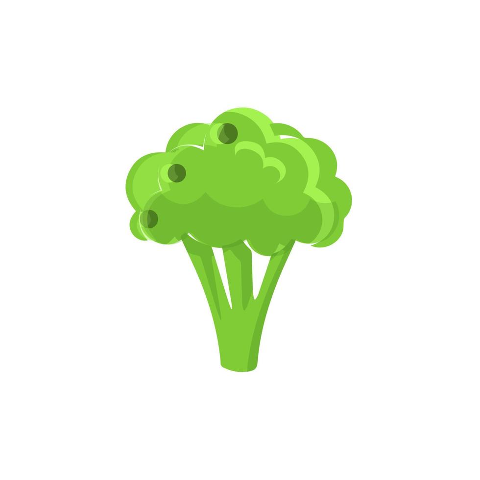 Broccoli Icon vector. Broccoli vegetable fresh farm healthy food. Broccoli colorful realistic icon vegetables symbol on white background. vector