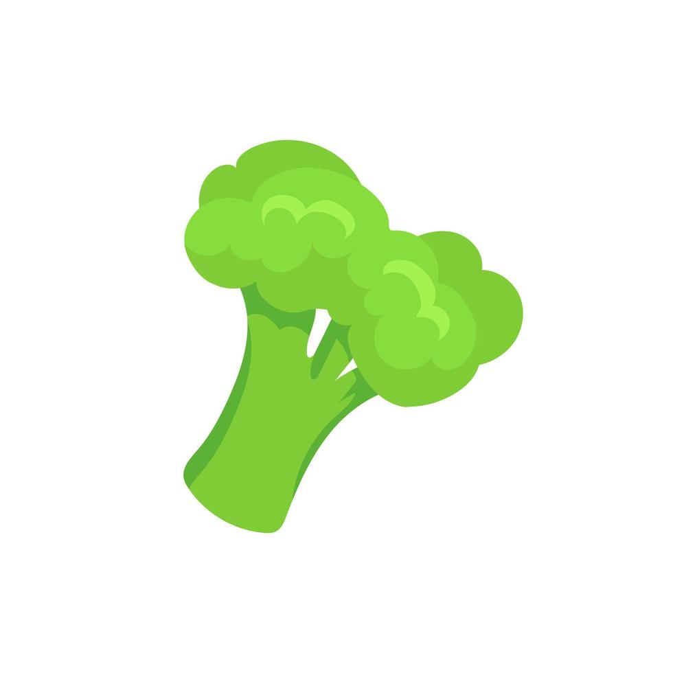 Broccoli Icon vector. Broccoli vegetable fresh farm healthy food. Broccoli colorful realistic icon vegetables symbol on white background. vector