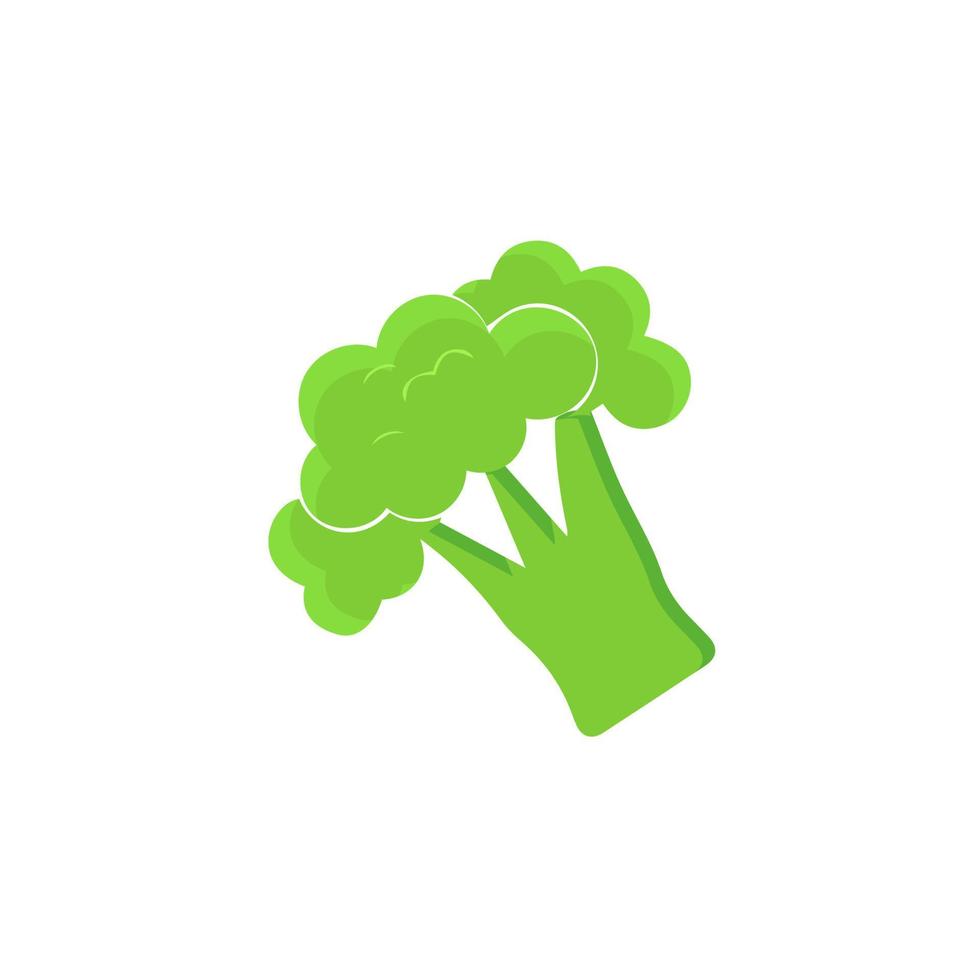 Broccoli Icon vector. Broccoli vegetable fresh farm healthy food. Broccoli colorful realistic icon vegetables symbol on white background. vector