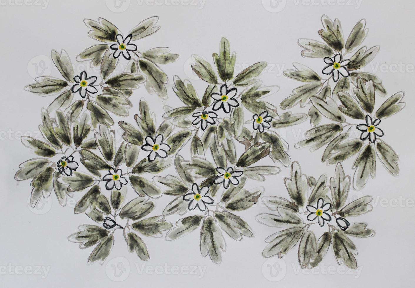 White snowdrops or primroses growing on the ground. Spring drawing. Forest flowers photo