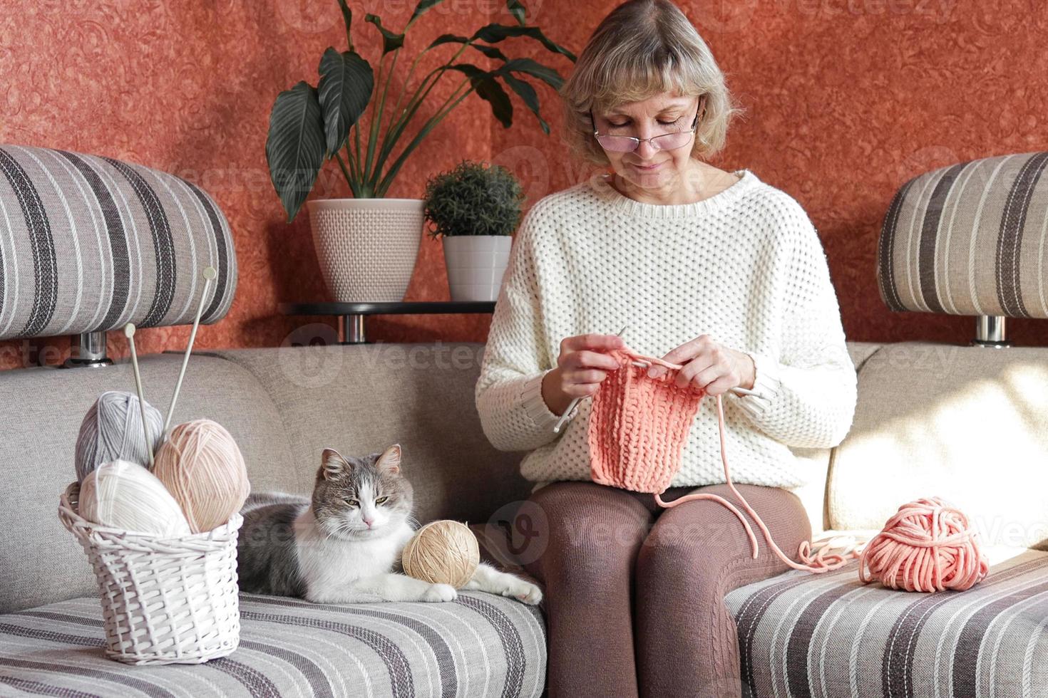A mature woman knits from yarn sitting on the couch at home, next to her beloved pet. photo