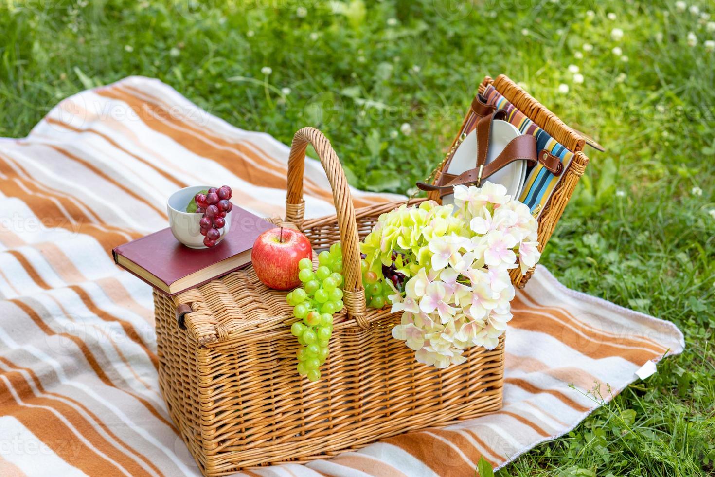 Wicker picnic basket with food on a striped plaid on the grass in the park. Summer picnic concept photo