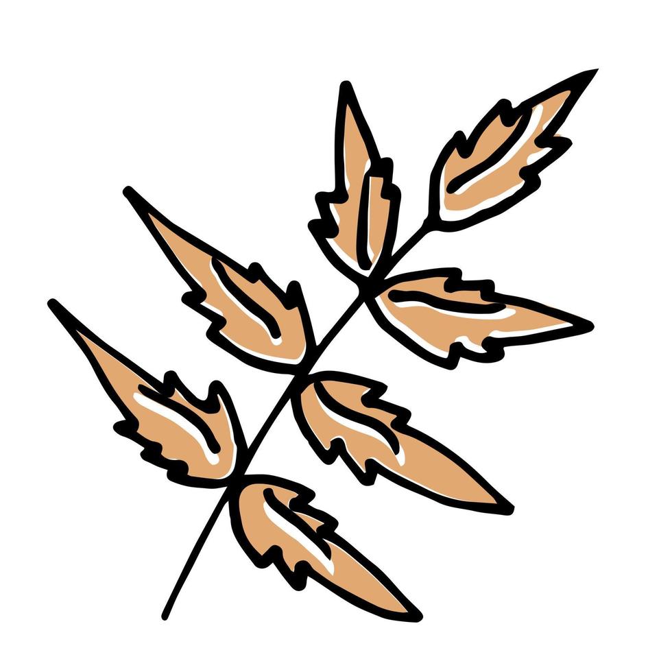 Single hand drawn leaf for autumn decoration vector