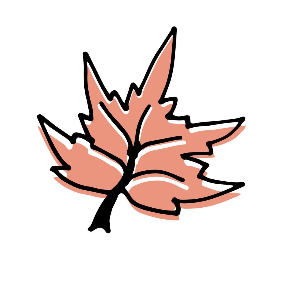 Single hand drawn maple leaf for autumn decoration vector