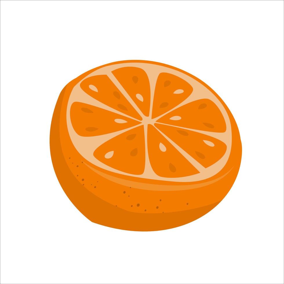 Half of orange. Delicious citrus fruit vector