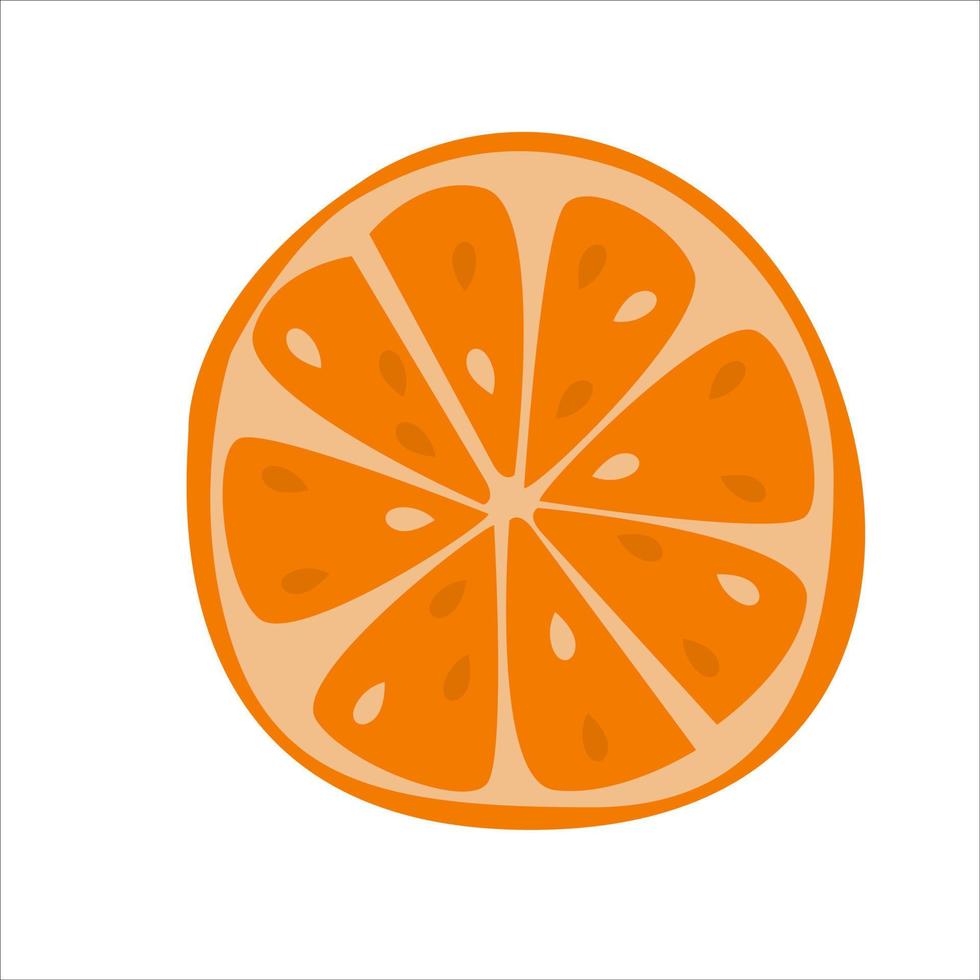 Slice of orange. Delicious citrus fruit vector