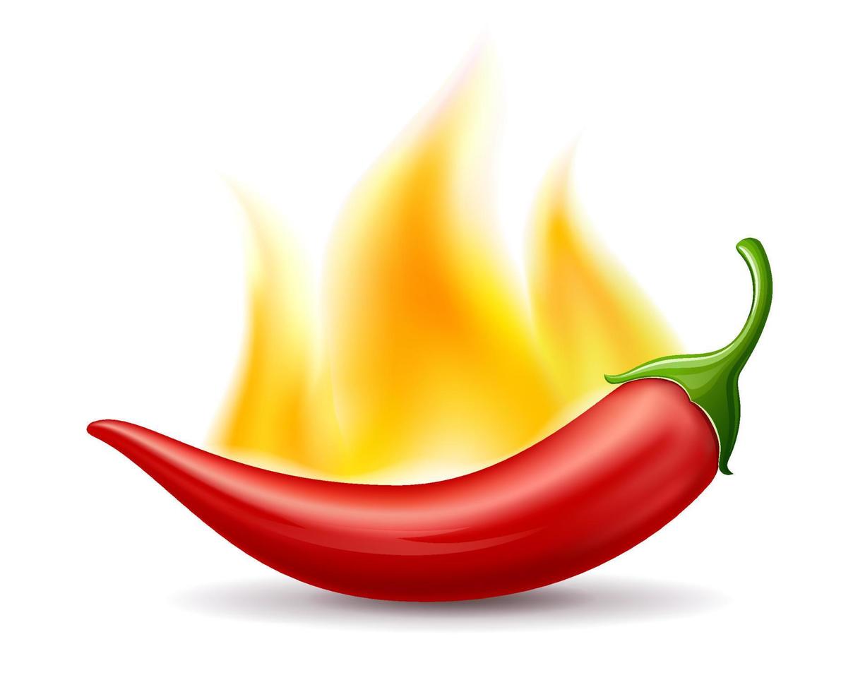 Chili peppers red fire, design isolated on white background, Eps 10 vector illustration