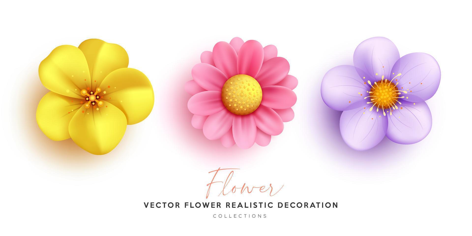 Flower colorful decoration, realistic collections design isolated on white background, EPS10 Vector illustration.