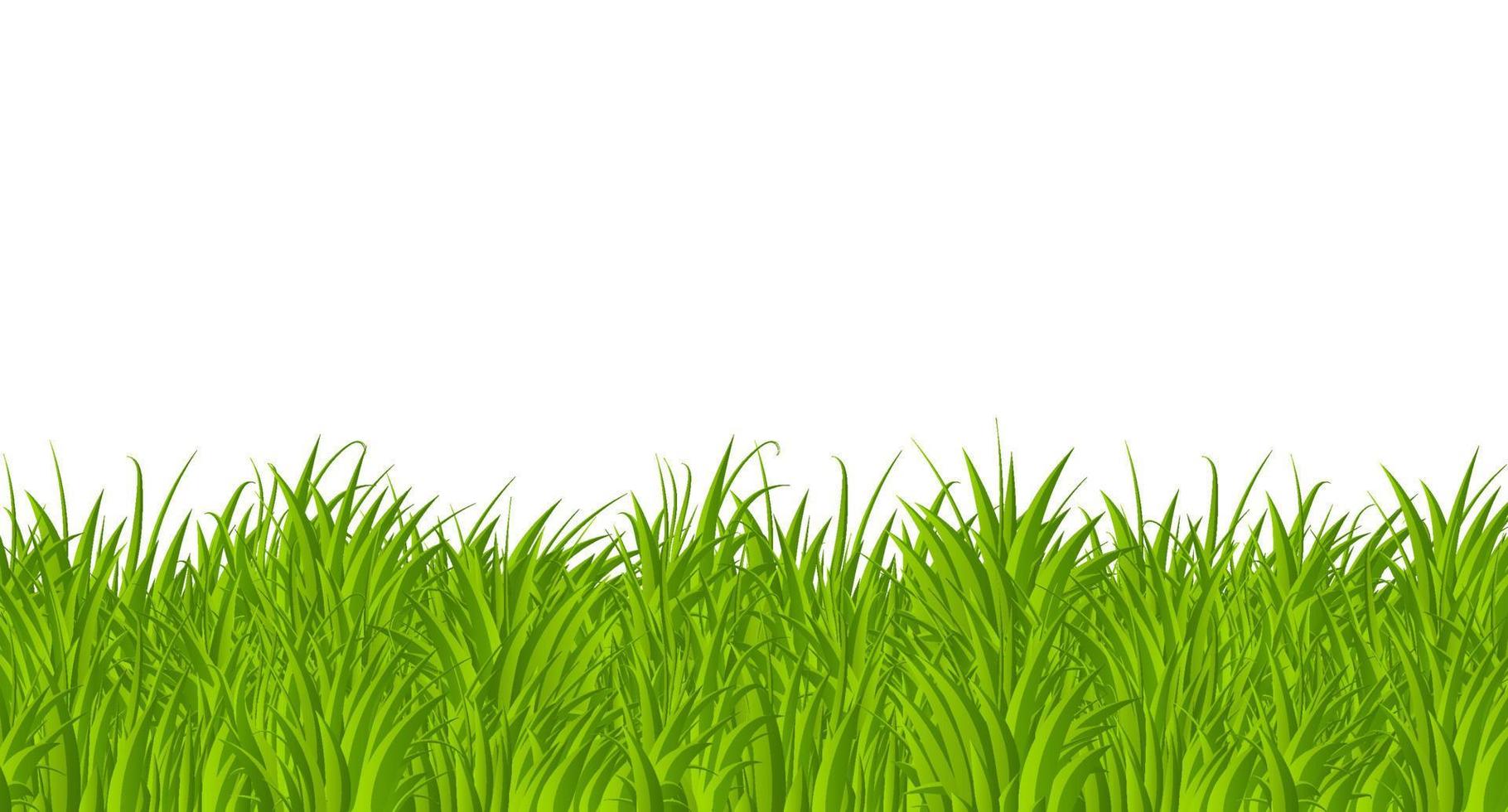 diseño de estilo plano de borde de hierba verde. campo de paisaje de naturaleza de hierba verde de verano de dibujos animados. ilustración vectorial vector