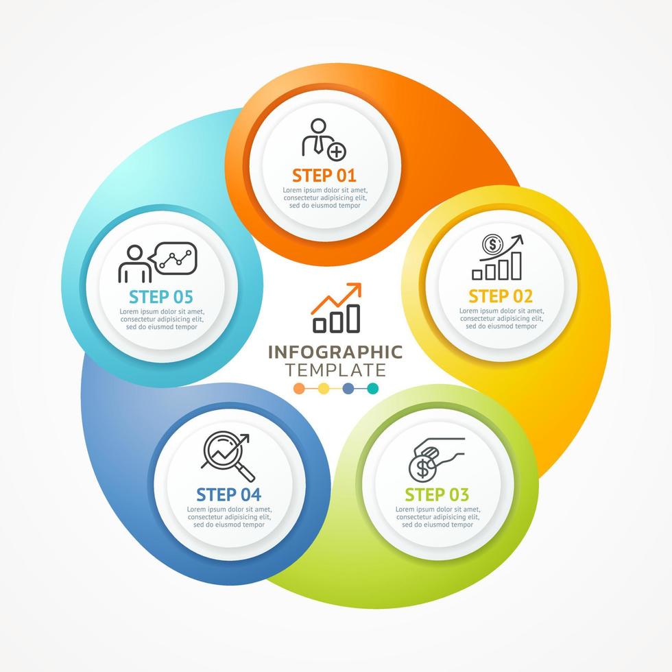 infographic circle template background vector