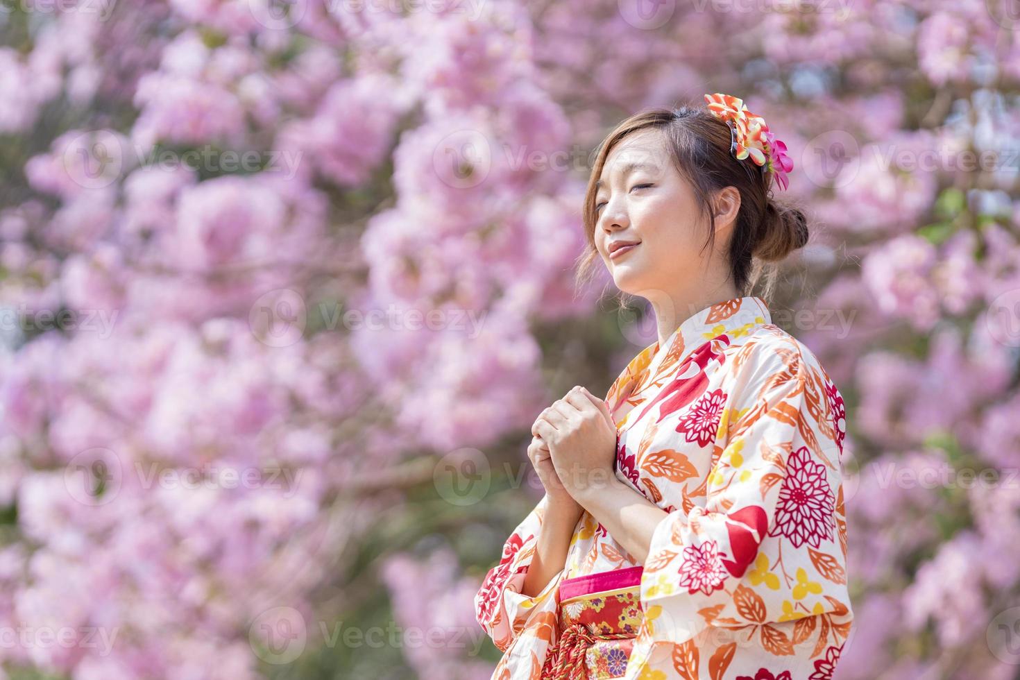 Japanese woman in traditional kimono dress is making a new year wish for good fortune while walking in the park at cherry blossom tree during spring sakura festival with copy space photo