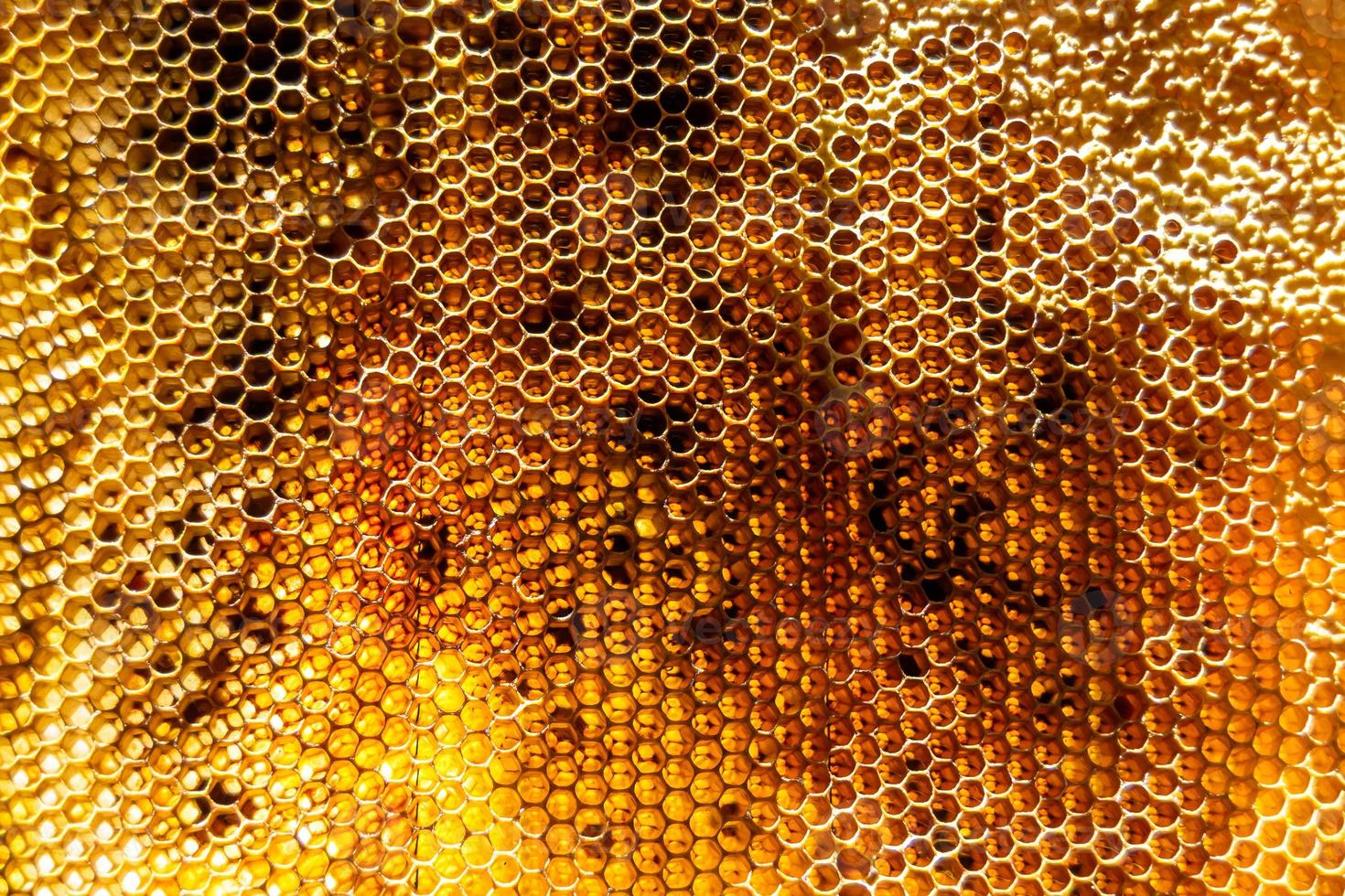 Drop of bee honey drip from hexagonal honeycombs filled with golden nectar photo