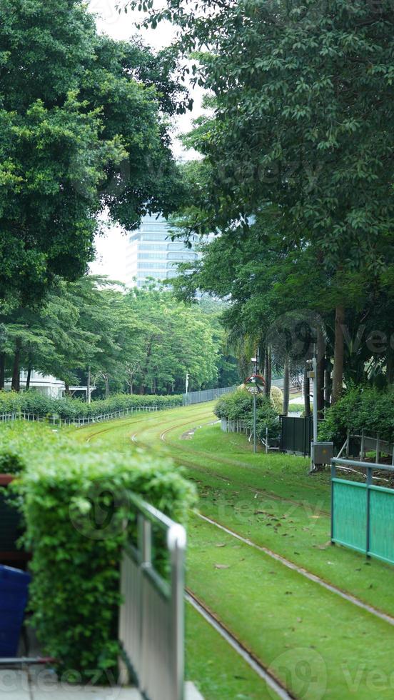 The tram view with the green trees and iron trail in the city photo