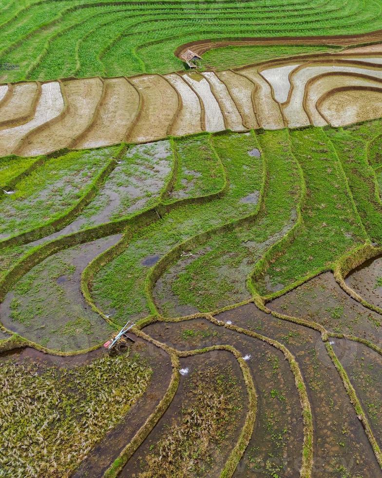 natural scenery of Indonesia with beautiful and winding terraced rice field patterns on the slopes of the mountains photo