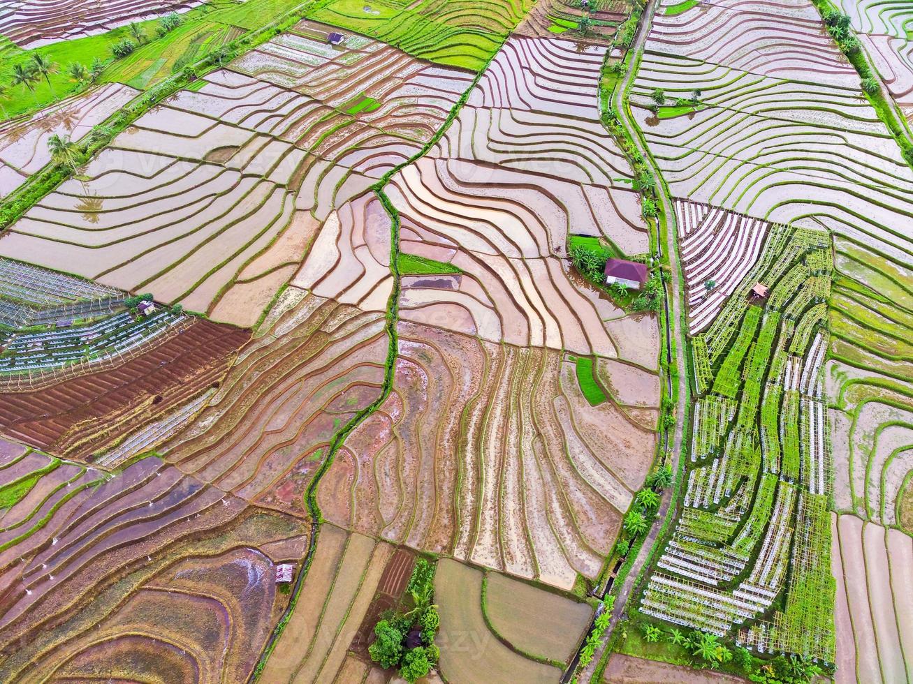 natural scenery of Indonesia with beautiful and winding terraced rice field patterns on the slopes of the mountains photo