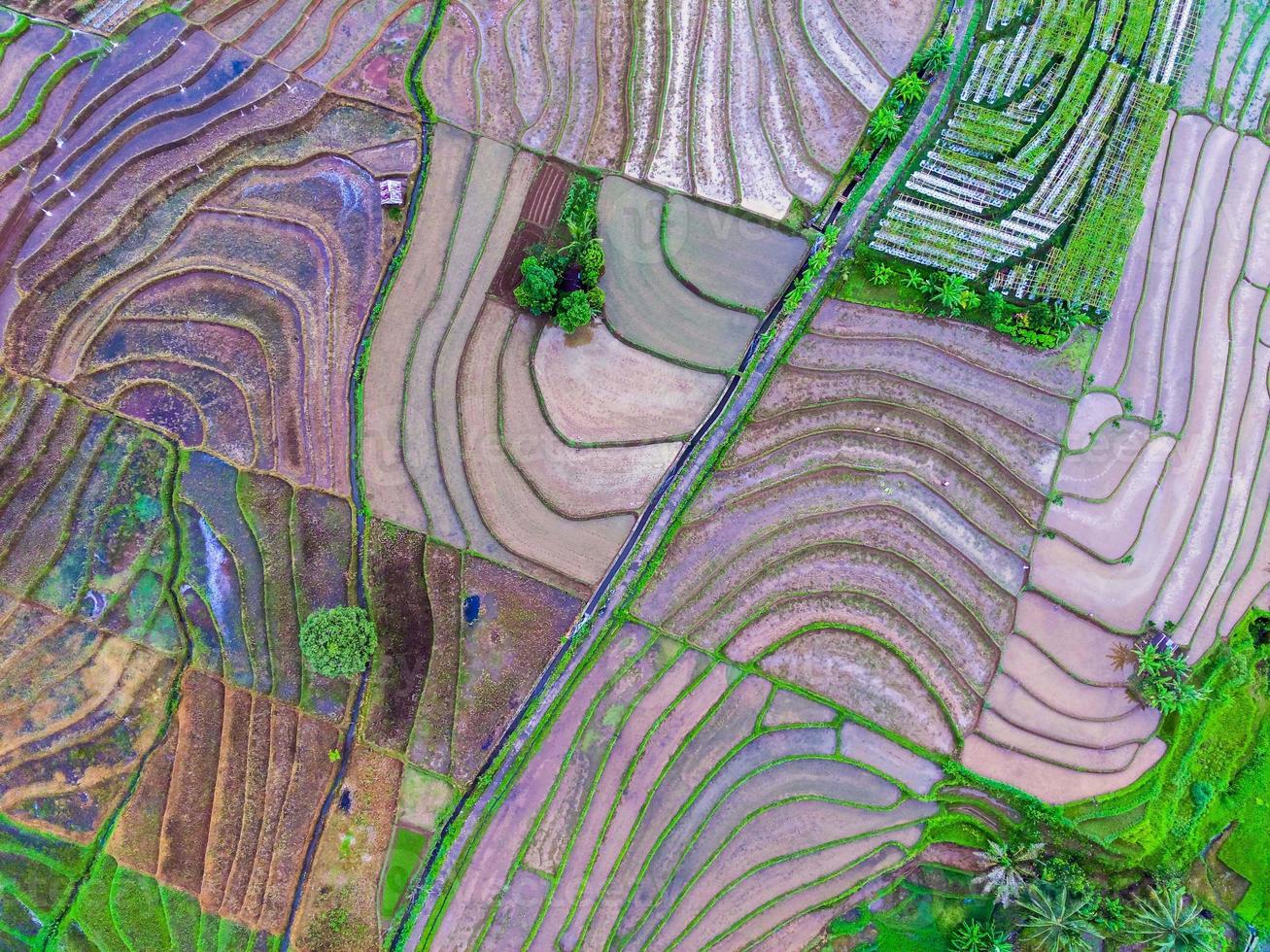 natural scenery of Indonesia with beautiful and winding terraced rice field patterns on the slopes of the mountains photo
