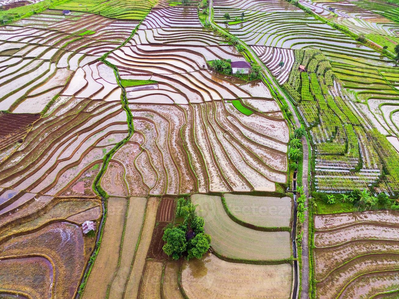 natural scenery of Indonesia with beautiful and winding terraced rice field patterns on the slopes of the mountains photo