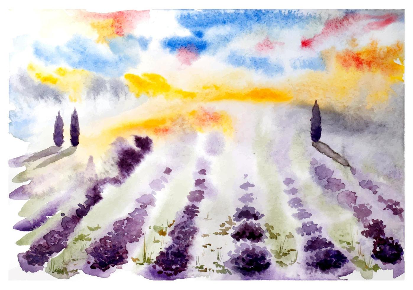 Watercolor lavender field sunset landscape. Lavender field at sunset. Watercolor landscape. vector