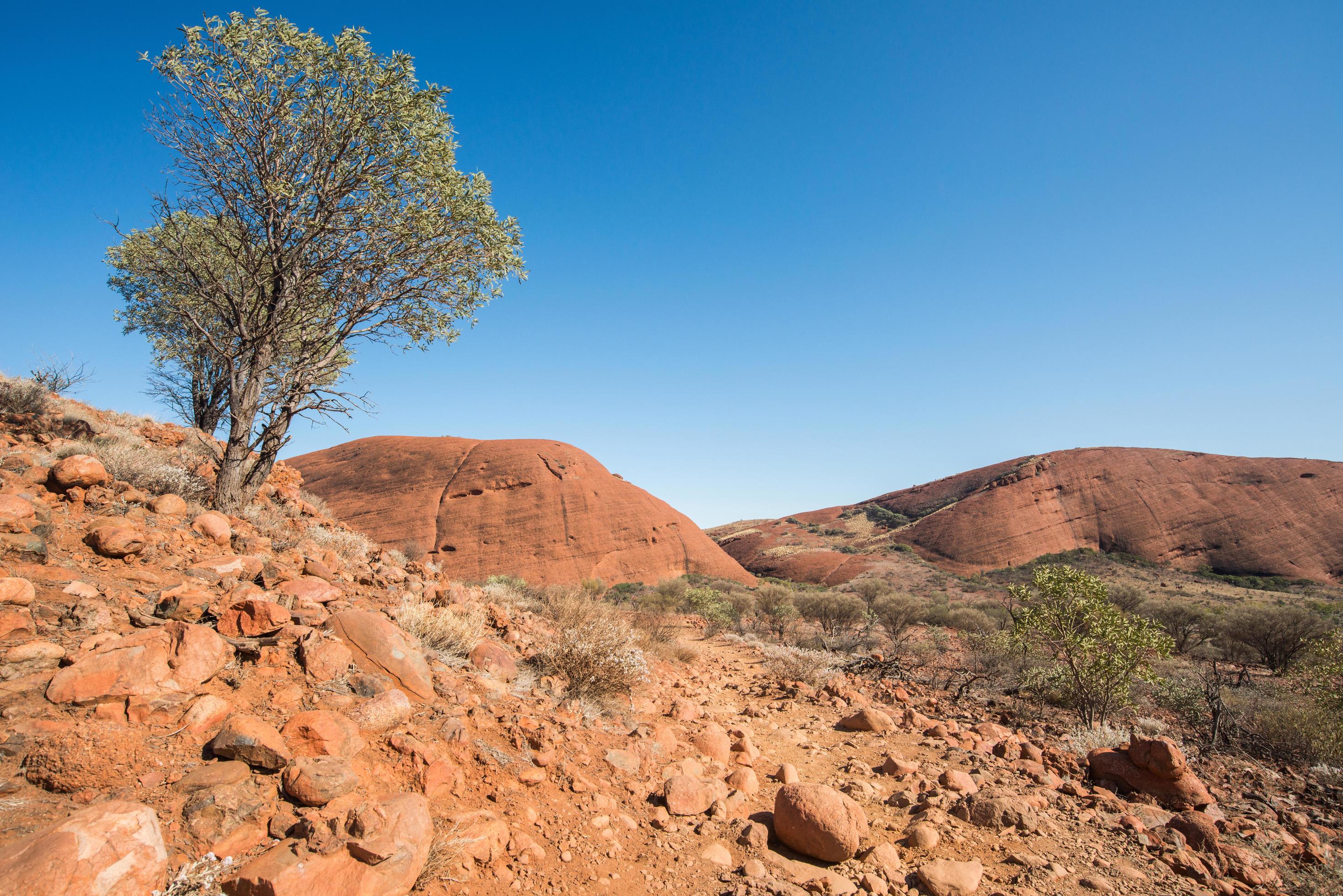 The landscape of Australian outback in Northern Territory state of