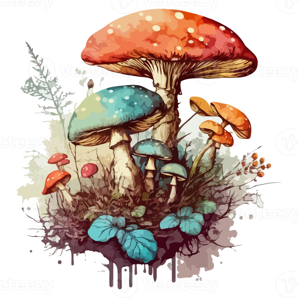 Watercolor painting about mushrooms png