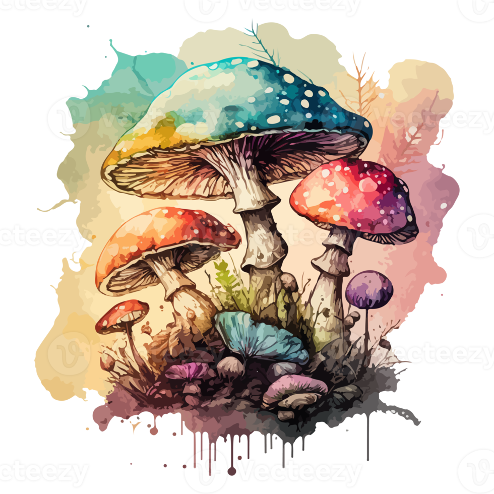 aquarelle La peinture à propos champignons png