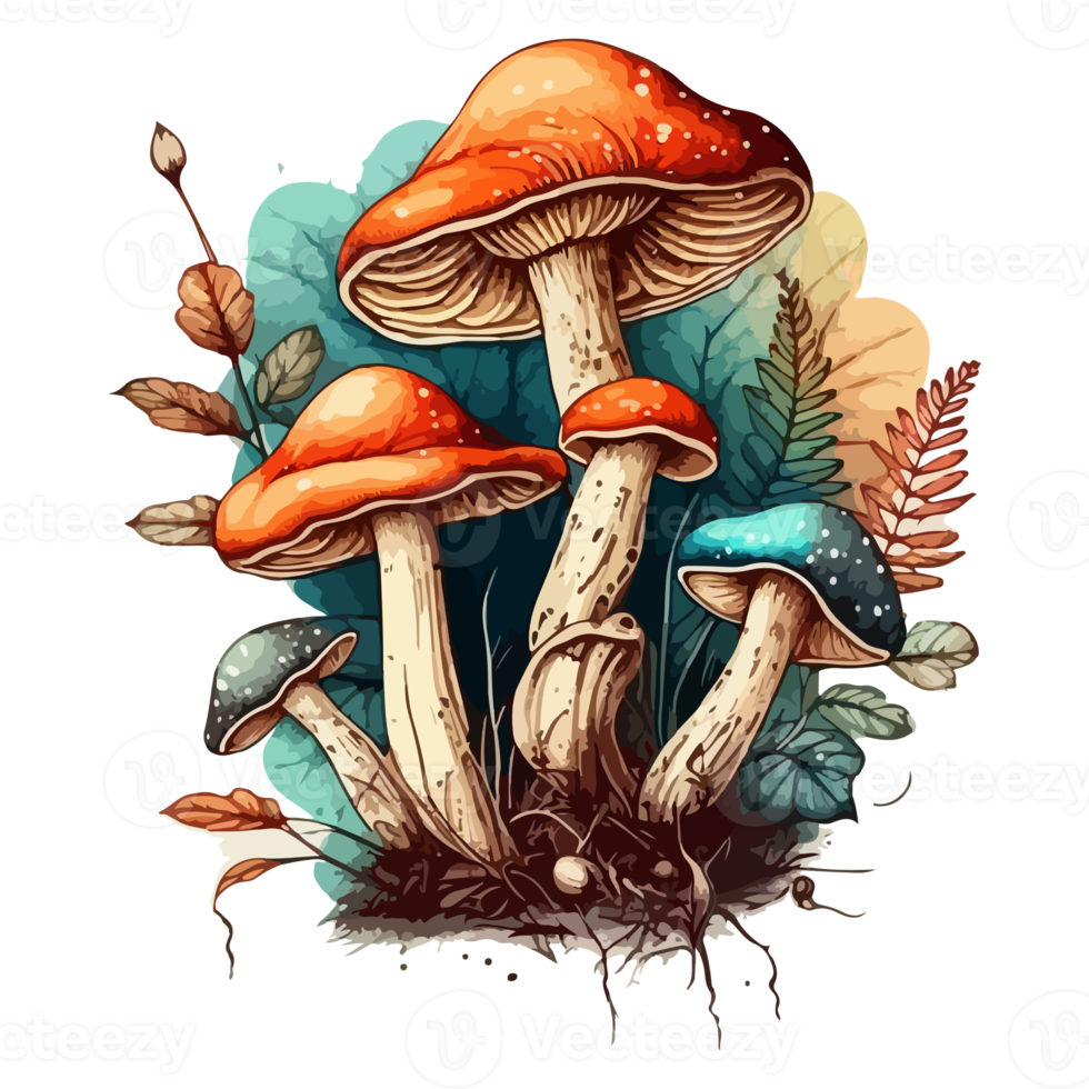 Watercolor painting about mushrooms png