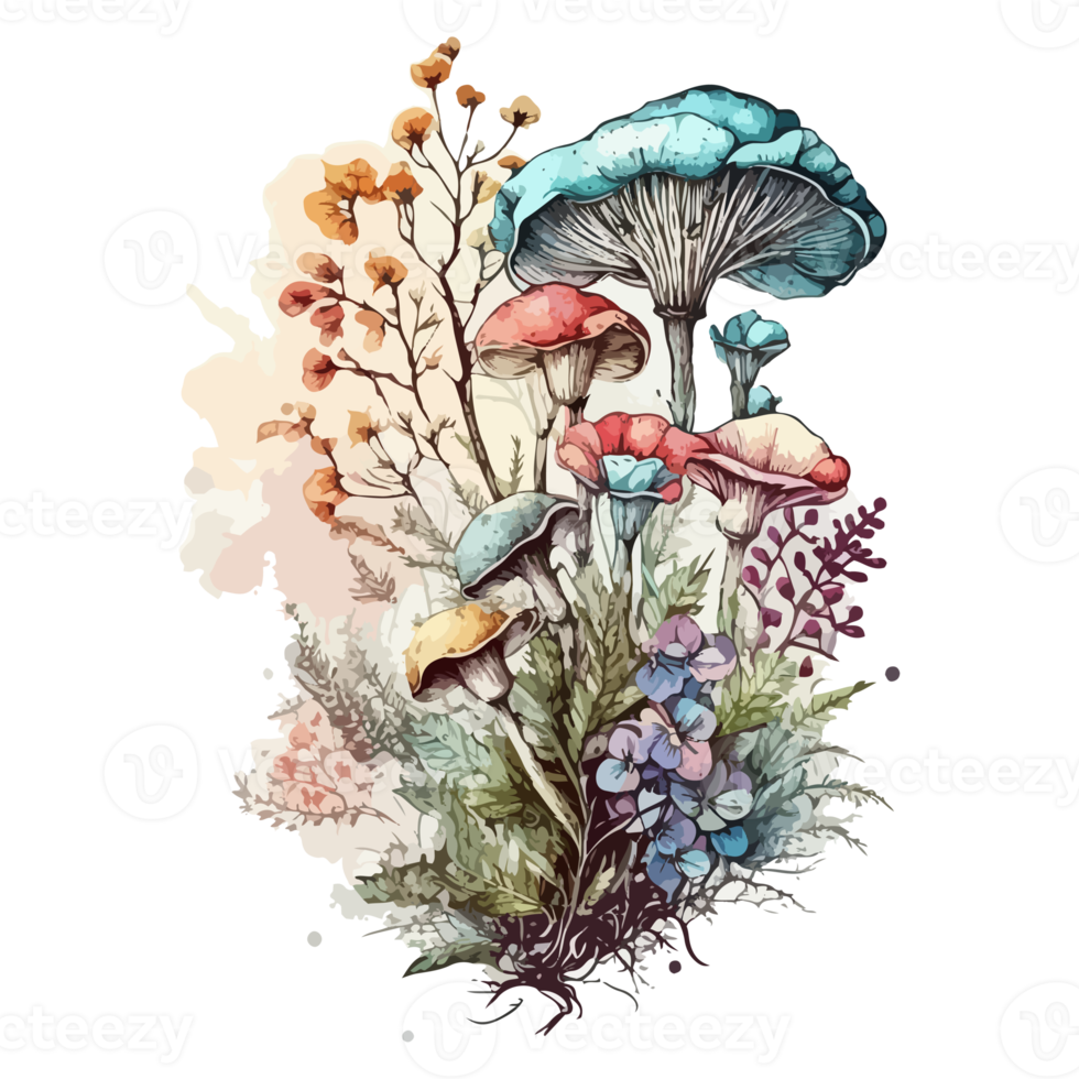 Watercolor painting about mushrooms png