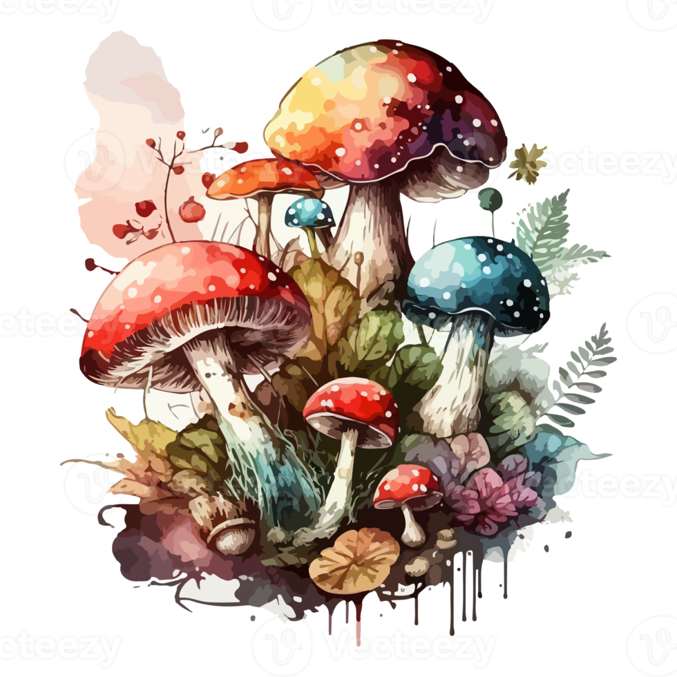 Watercolor painting about mushrooms png