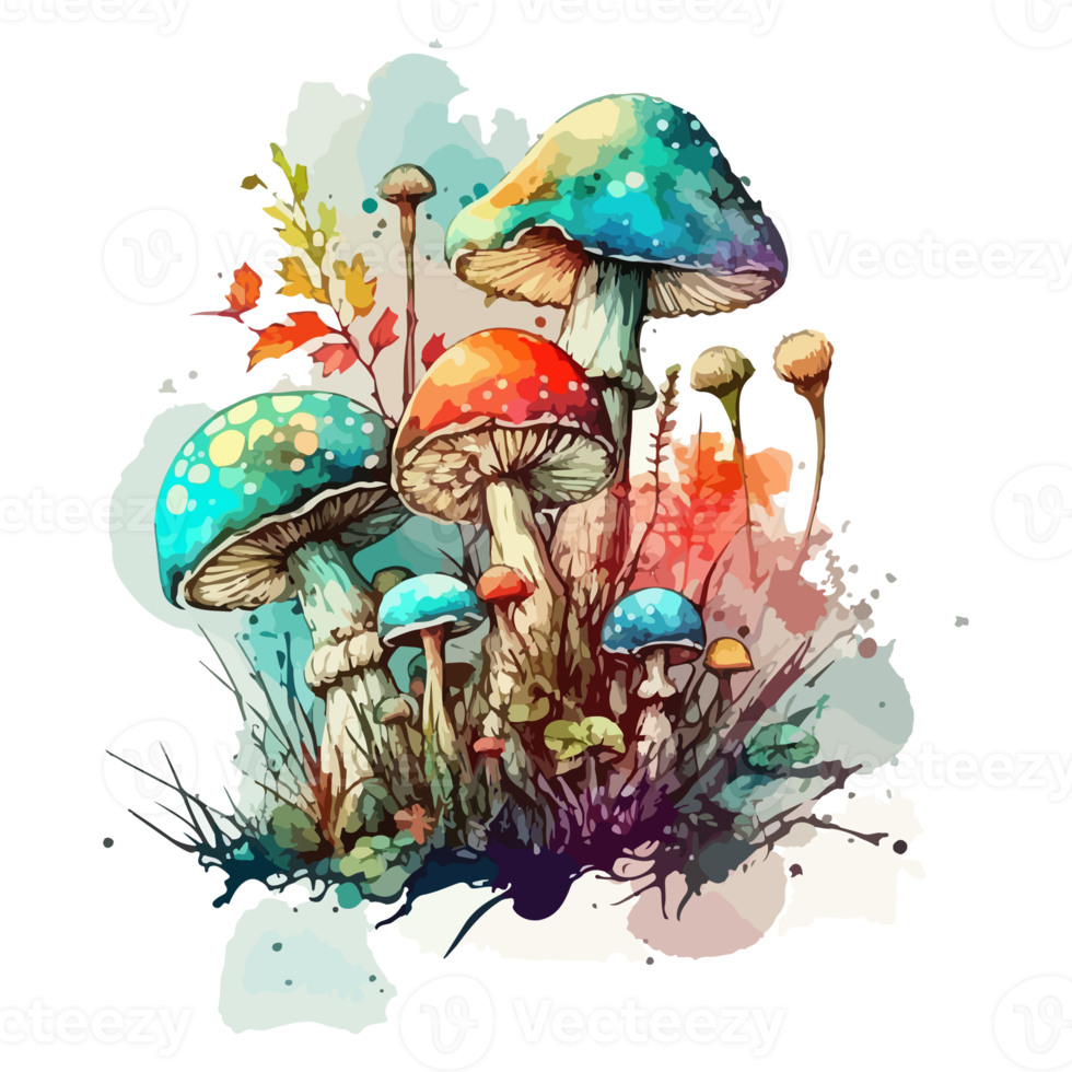 Watercolor painting about mushrooms png