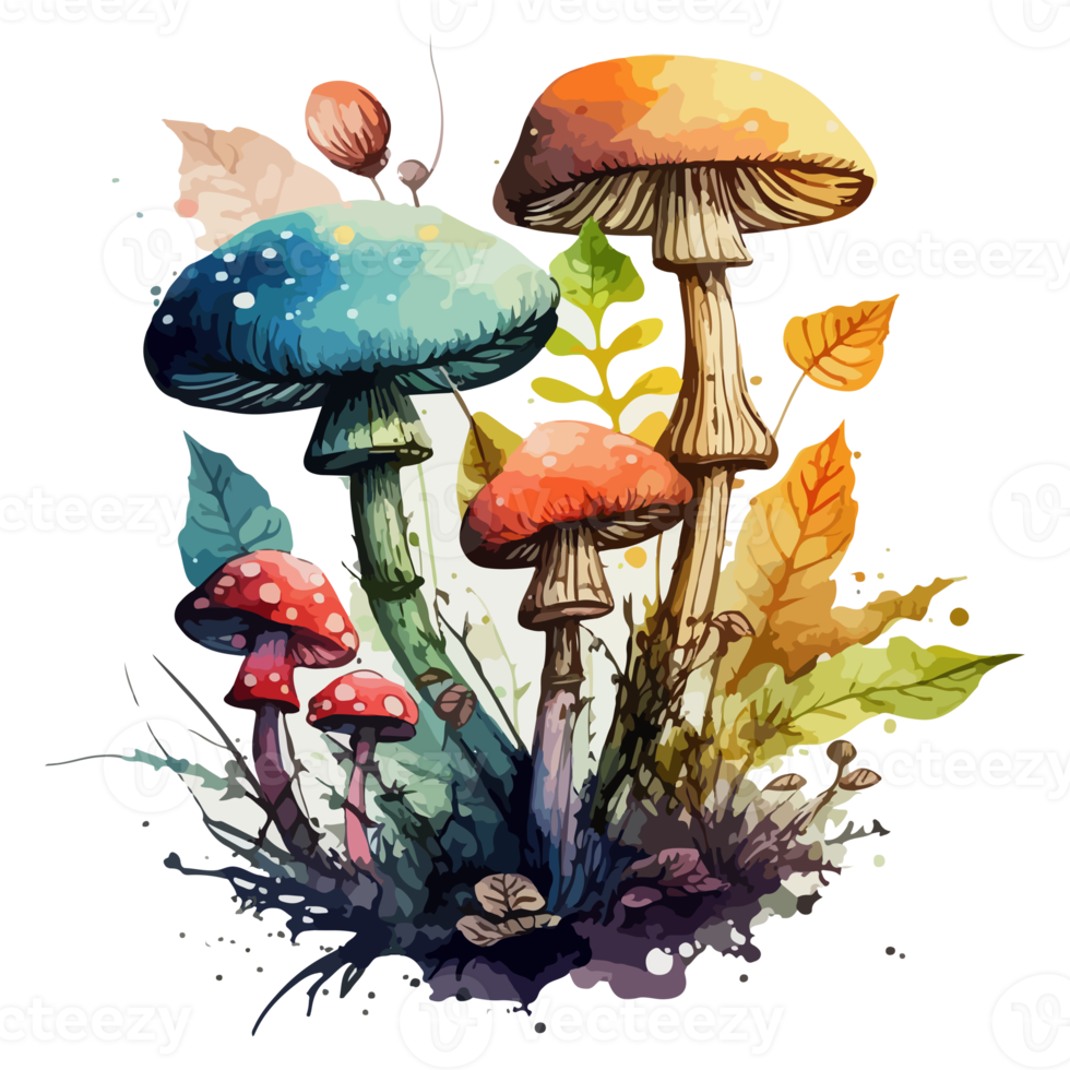 Watercolor painting about mushrooms png
