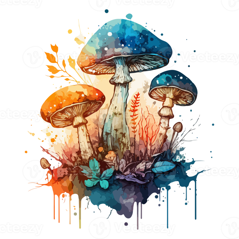 Watercolor painting about mushrooms png