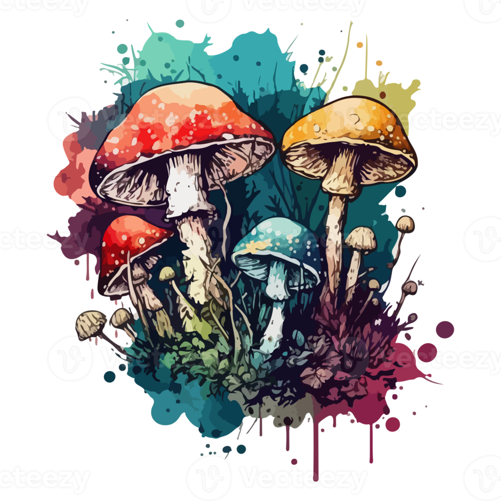 Watercolor painting about mushrooms png