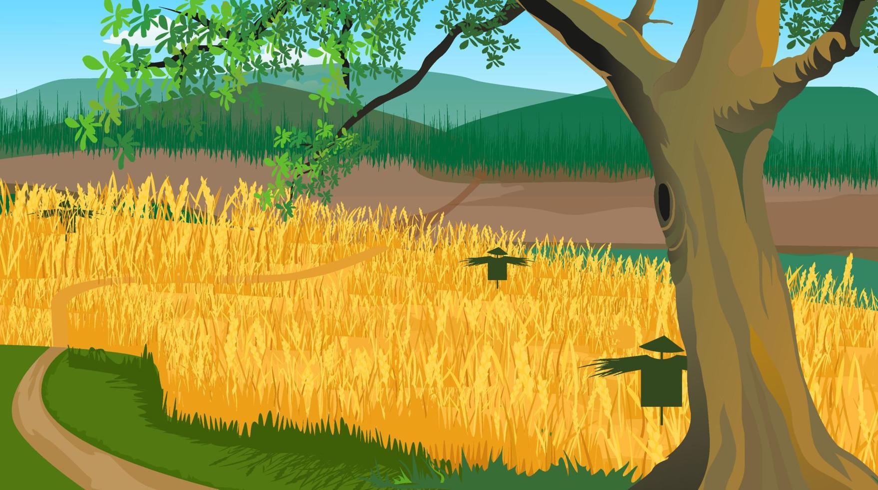 Village paddy field natural beauty. vector