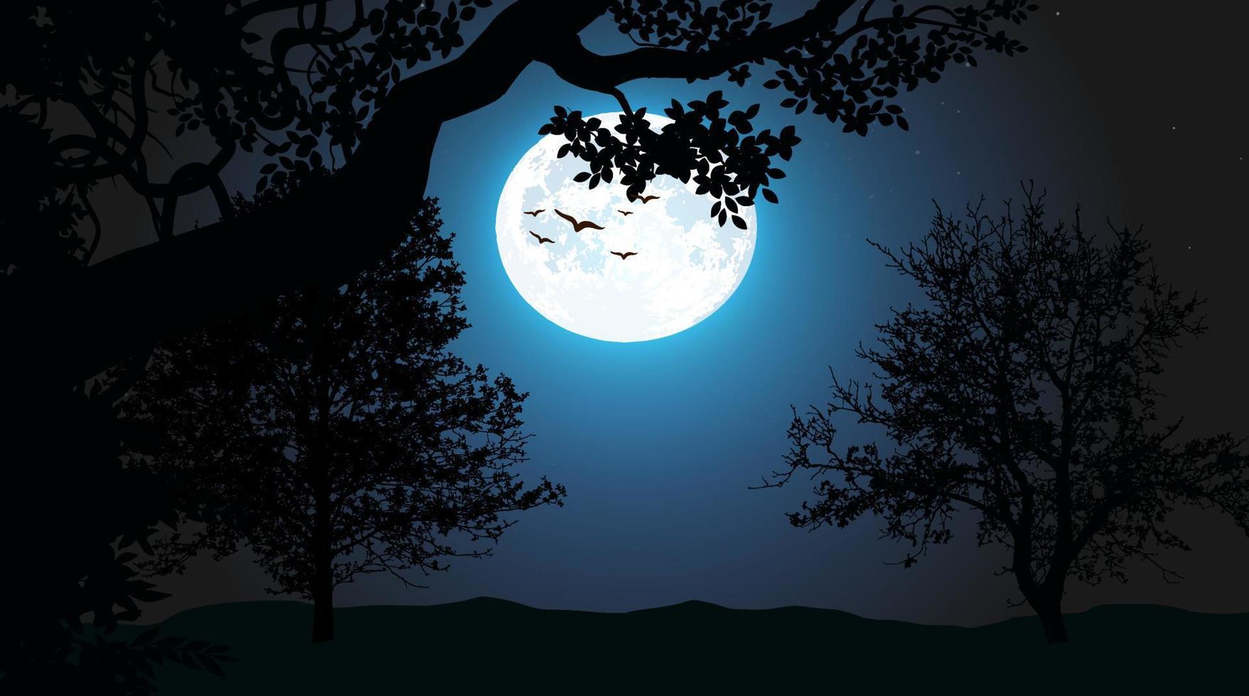 Natural beautiful night scene for cartoon animation. vector