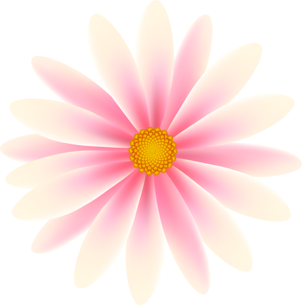 Beautiful Petal Flower png