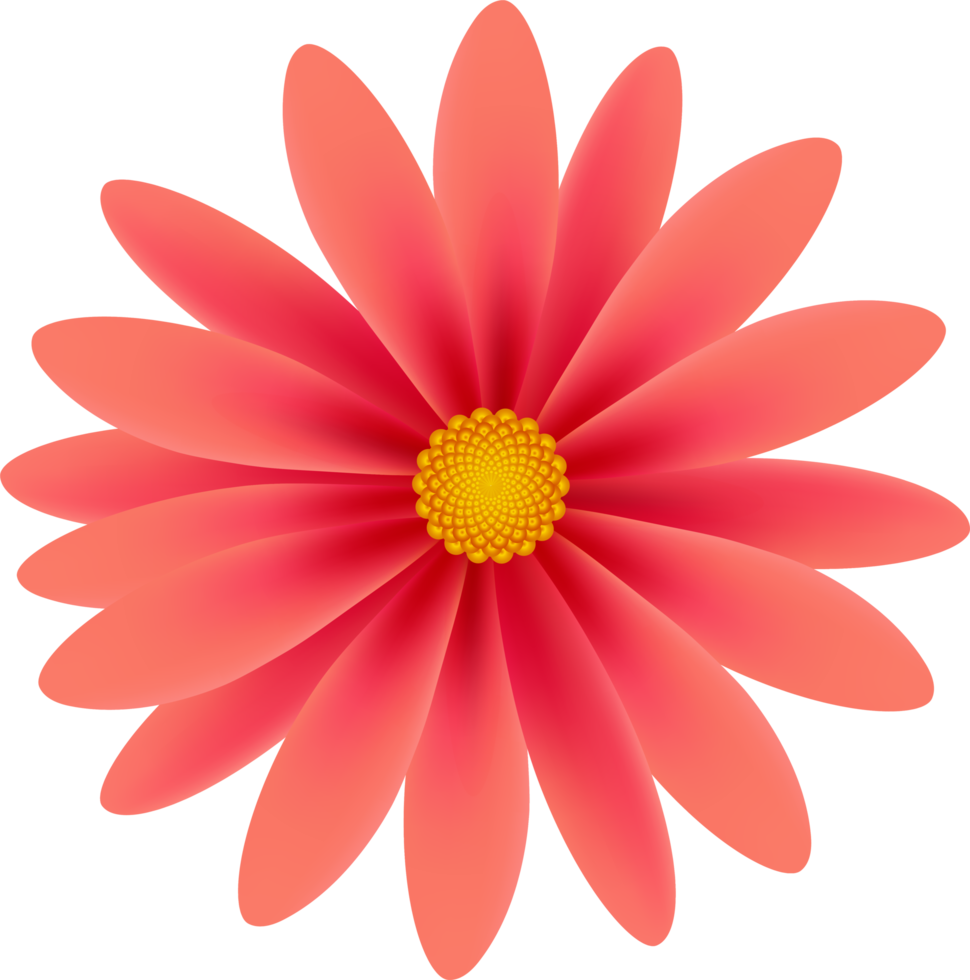 beautiful-petal-flower-21183043-png
