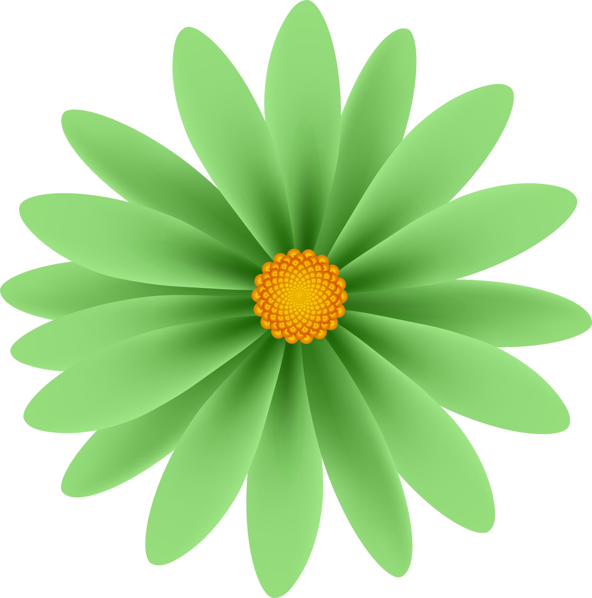 Beautiful Petal Flower 21183044 PNG