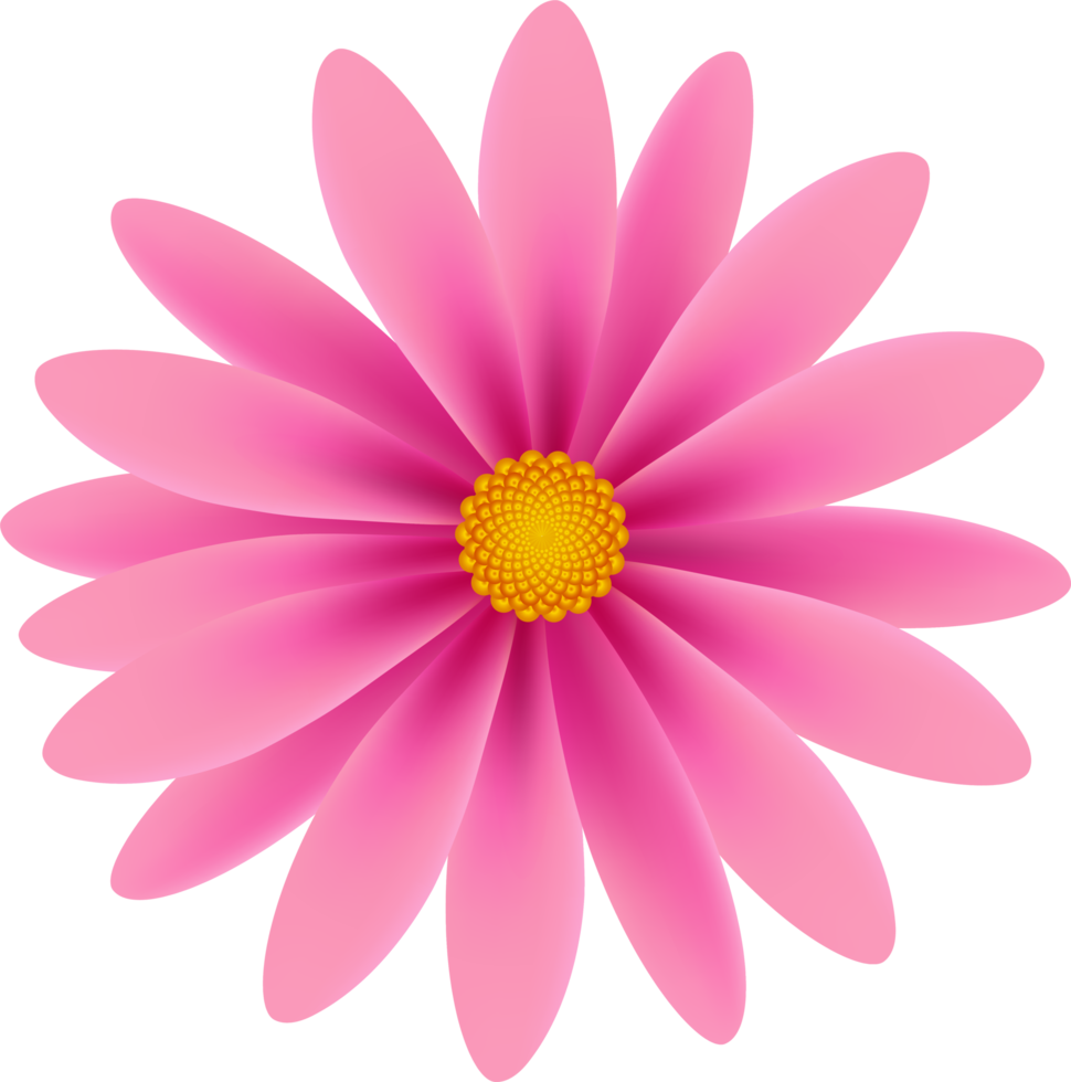Beautiful Petal Flower png