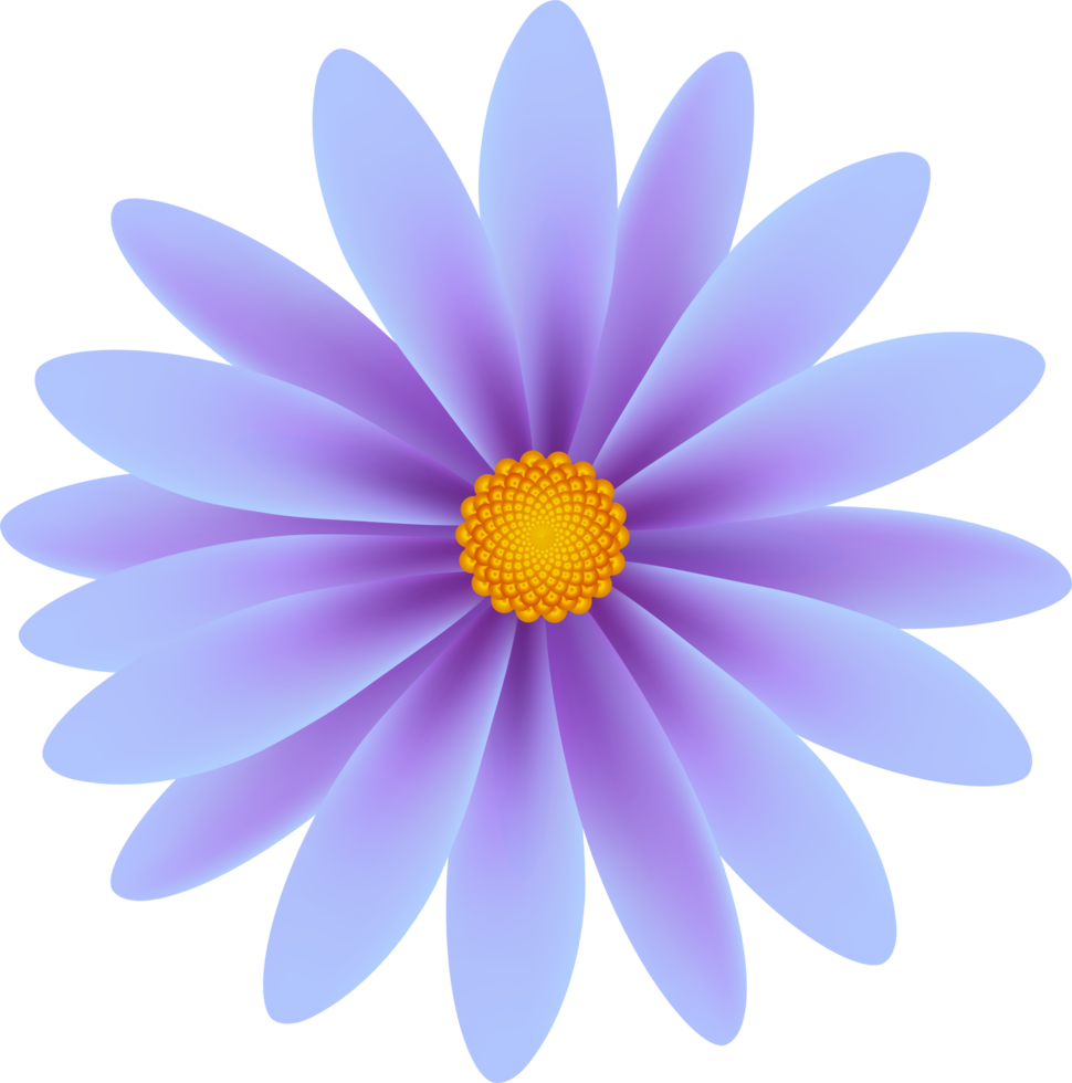 bellissimo petalo fiore png