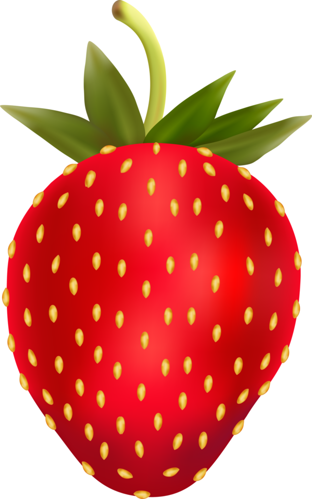 realistisk röd jordgubb png