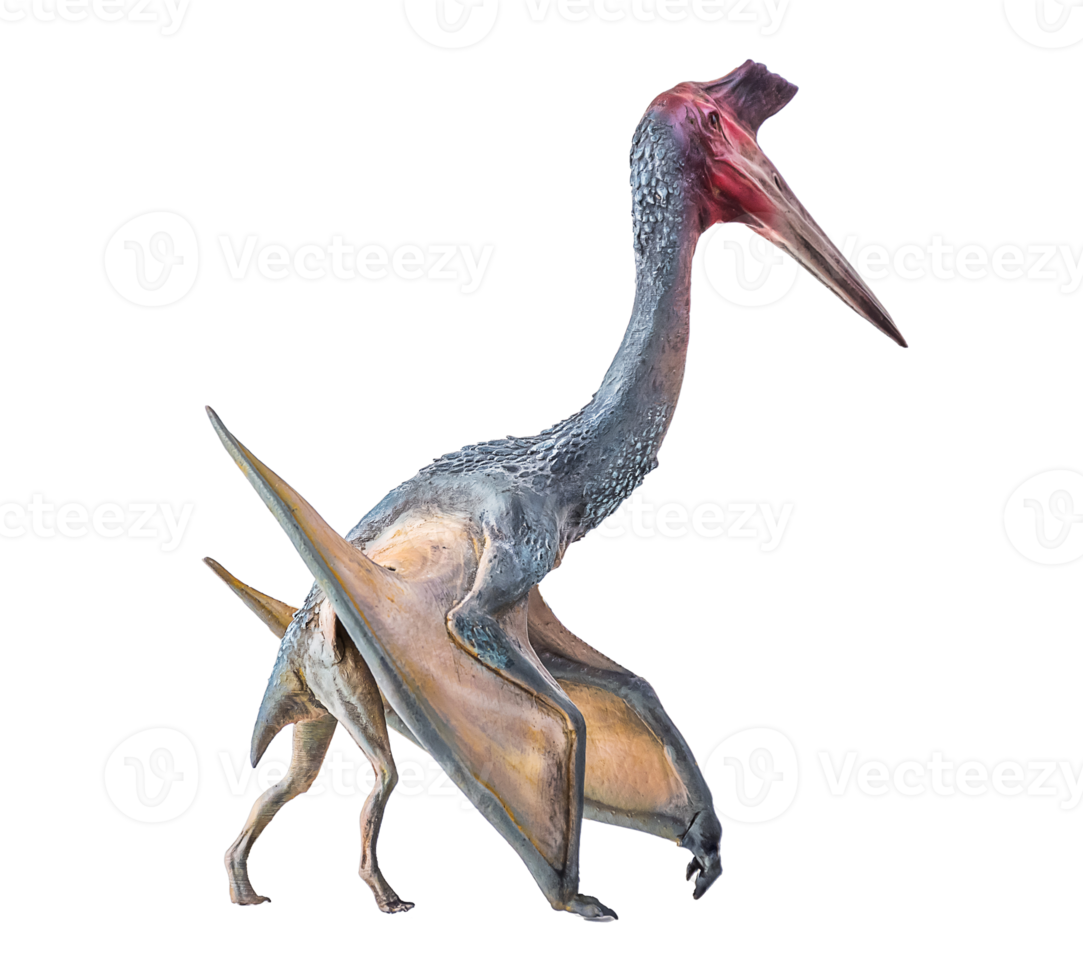 The Pterosaur , dinosaur on  isolated background png