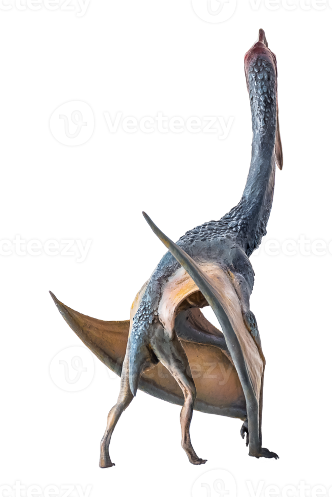 The Pterosaur , dinosaur on  isolated background png