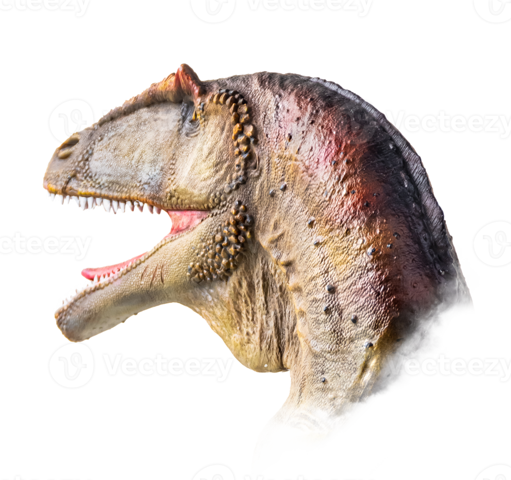 le tête de carcharodontosaure , dinosaure sur isolé Contexte . png